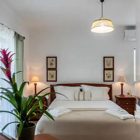 Vila Charming In Algarve